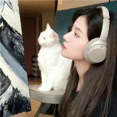 舞影人生