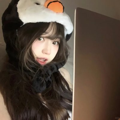 寻狗启事